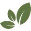 Grupo Solanas